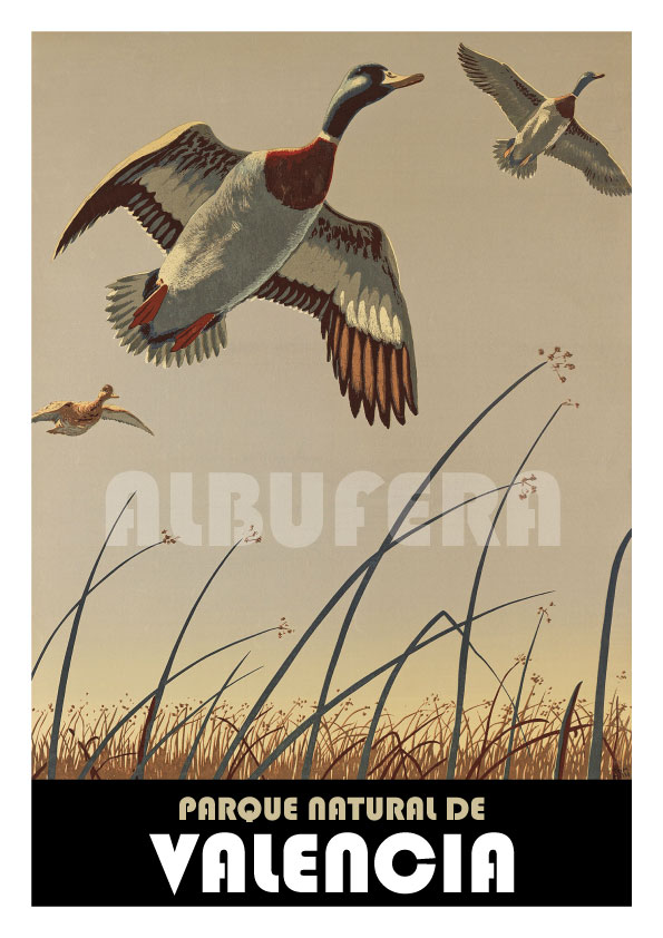 Albufera Valencia poster