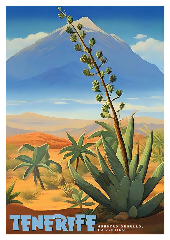 Teide poster product